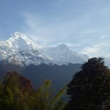 Balcon du Dhaulagiri et camp de base du Mardi Himal