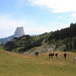 Multi-activity stay for families in the Vercors