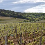 VTT en Bourgogne : côte de Nuits et côte de Beaune