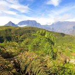 La boucle du nord de la Réunion en randonnée