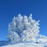 Snowshoeing outing to study the snow cover (Vercors)