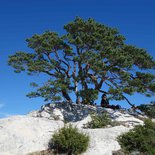 Discovering the mountains of Provence