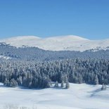Raid raquettes dans les Hautes Combes (Jura)