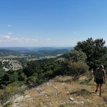 Local walk: goat's cheese (North Luberon)