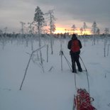 Snowshoeing stay in Finnish Lapland