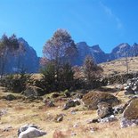 Trekking in the Bolivian Yungas jungle