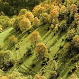 Hiking, yoga and reconnecting with nature (Vercors)