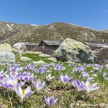 Randonnée aux Pozzi (Corse-du-Sud)