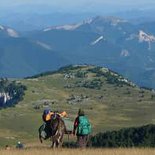 The Diois on a plateau (Vercors)
