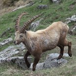 Séjour randonnée au cœur des Hautes-Alpes