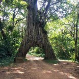 Ascent of Mount Meru