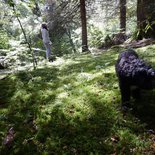 Nature, yoga et randonnée en itinérance (Savoie)