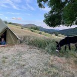 Trek avec ânes sur les chemins de transhumance (Alpes du Sud)