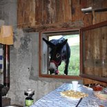 Multi-activity stay for families in the Vercors