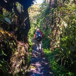 Hiking: Belouve forest and Trou de Fer