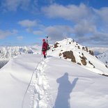 Ski-mountaineering and animal watching in Spitsbergen