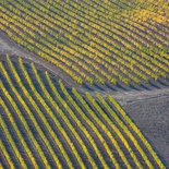 Randonnée photo dans les campagnes de Toscane