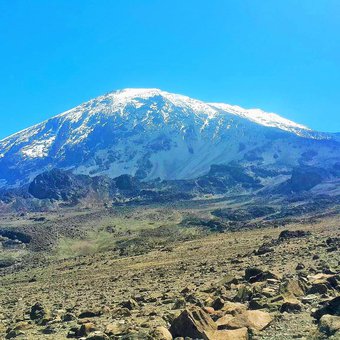 ascension-kilimandjaro-voie-lemosho-1.jpg
