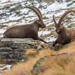 Hiking and autumn photography in the Grand Paradiso