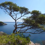 Discovery of the Calanques by hiking