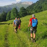 Stage pratique l'Art de marcher dans les Bauges