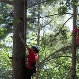 Tree climbing in Puycelsi (Tarn)