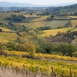 Photo trek in the Tuscan countryside