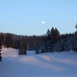 Snowshoeing, Nature & Reliance on Life in the Jura