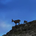 Mini-séjour randonnée dans les Alpes du Sud (Gap)