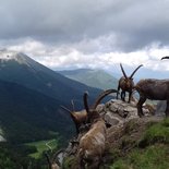 Hiking and yoga stay in the Vercors