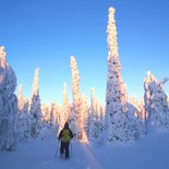 Snowshoeing stay in Finnish Lapland