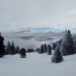 Snowshoeing across the Vercors (Isère, Drôme)
