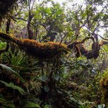 The Southern wild loop of Reunion Island by hiking