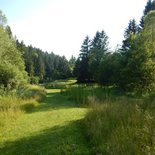 Nature, yoga et randonnée en itinérance (Savoie)