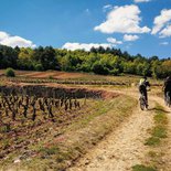 MTB in Burgundy: "côte de Nuits" and "côte de Beaune"