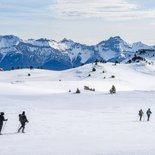 Snowshoeing and yoga course in the Diois (Vercors)