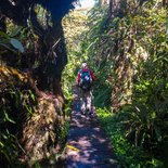 Hiking in the Belouve forest and at "Trou de Fer"