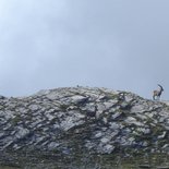 Le tour du Mont Blanc authentique