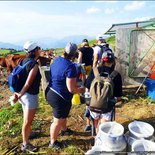 Gourmet walk in the mountain pastures of Albiez (Maurienne)