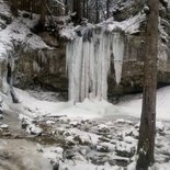 Night snowshoeing: tell me about the wolf (Vercors)