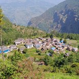 Mohare Danda trekking