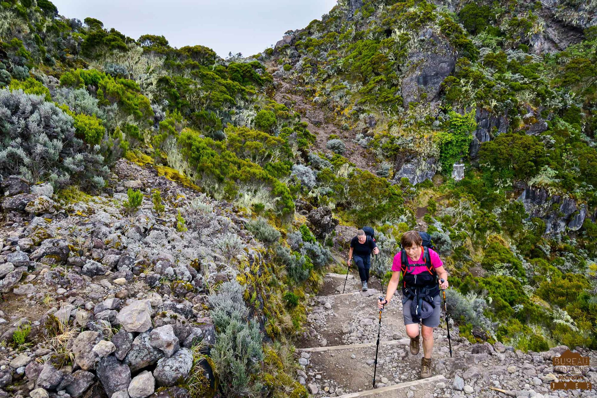 Climbing the Piton des Neiges DirectMountain