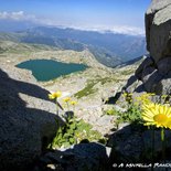 Randonnée au Monte Renosu (Corse-du-Sud)