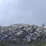 First wild bivouac in the Beaufortain (Savoie)