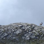 Premier bivouac sauvage dans le Beaufortain (Savoie)