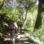 Trekking in the Langtang