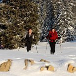Raquettes, Nature & Reliance au Vivant dans le Jura