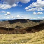 Family hike with donkeys (Baronnies of Provence)