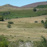 Hiking and disconnection in the land of Aubrac