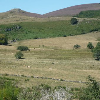paysage-aubrac-1.jpg